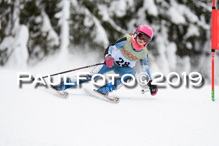 ASV - Geiger Cup 1 RS 2019