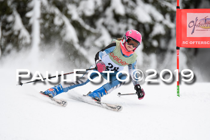 ASV - Geiger Cup 1 RS 2019