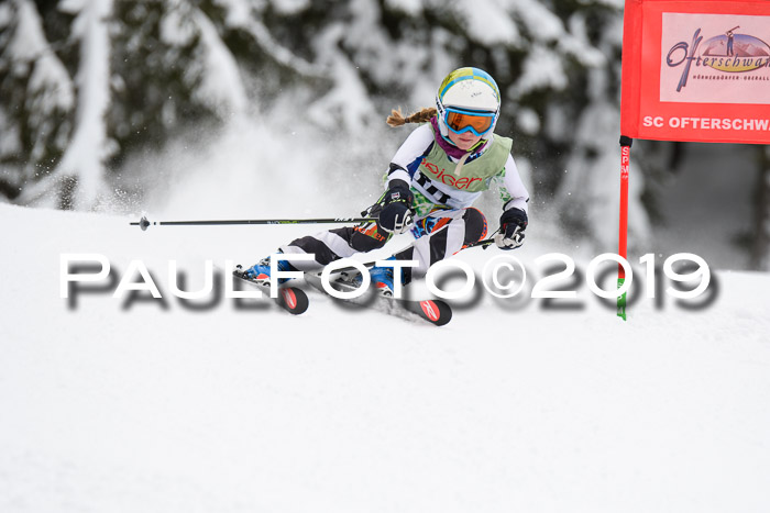 ASV - Geiger Cup 1 RS 2019