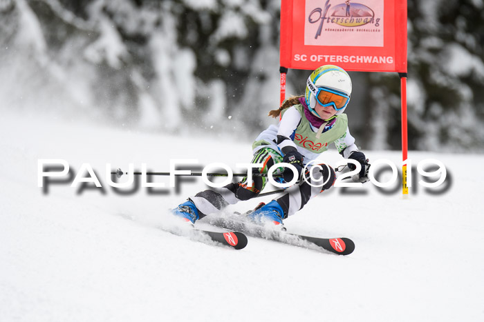 ASV - Geiger Cup 1 RS 2019