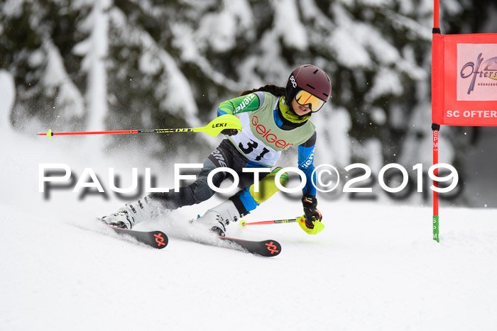 ASV - Geiger Cup 1 RS 2019