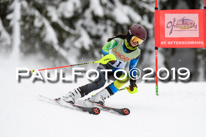 ASV - Geiger Cup 1 RS 2019
