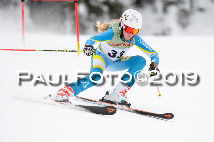 ASV - Geiger Cup 1 RS 2019