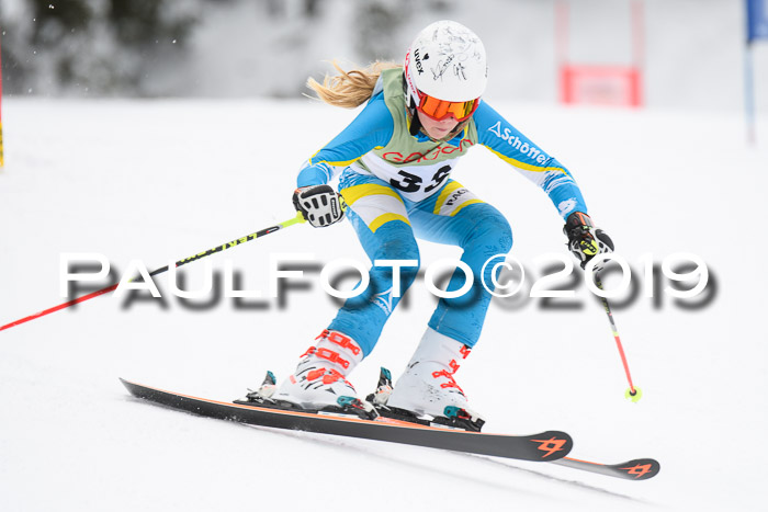 ASV - Geiger Cup 1 RS 2019