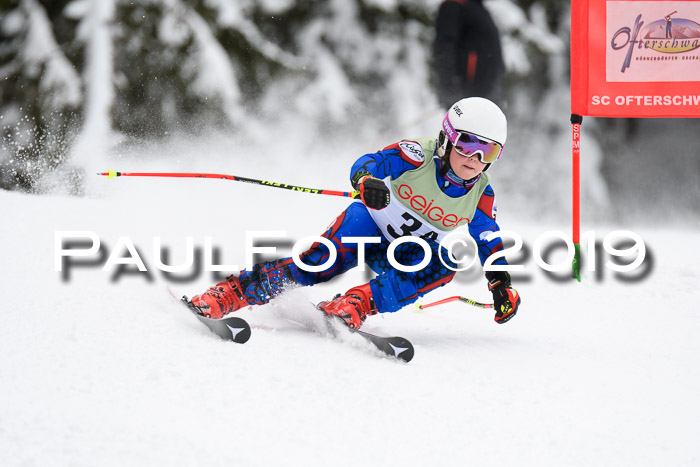 ASV - Geiger Cup 1 RS 2019