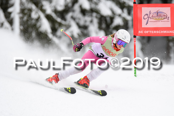 ASV - Geiger Cup 1 RS 2019
