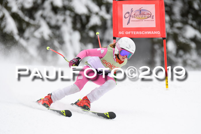 ASV - Geiger Cup 1 RS 2019