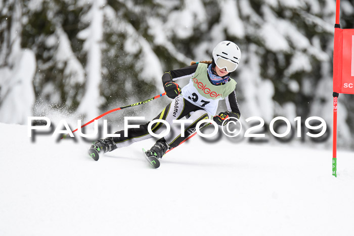 ASV - Geiger Cup 1 RS 2019