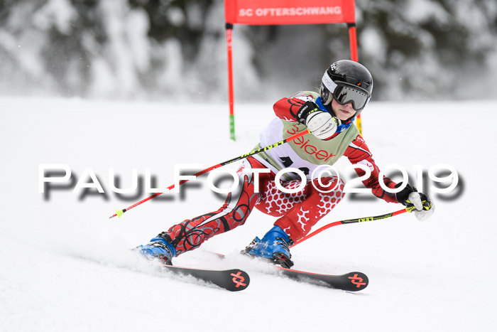 ASV - Geiger Cup 1 RS 2019