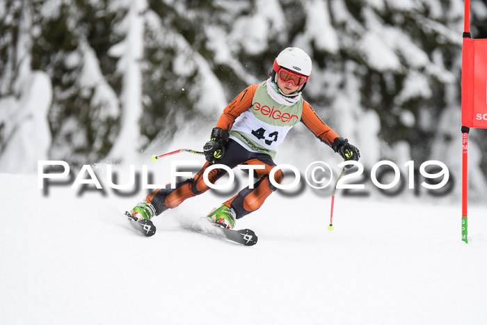 ASV - Geiger Cup 1 RS 2019