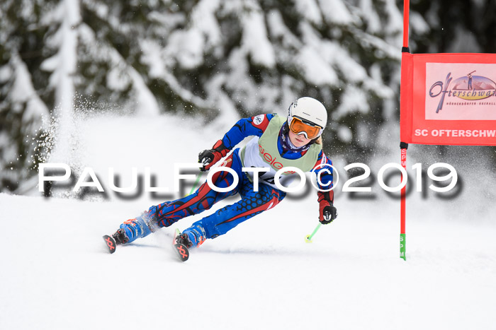 ASV - Geiger Cup 1 RS 2019