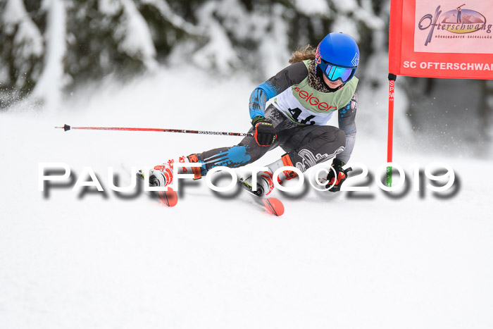 ASV - Geiger Cup 1 RS 2019