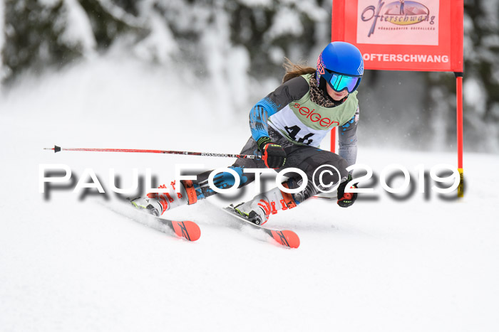 ASV - Geiger Cup 1 RS 2019