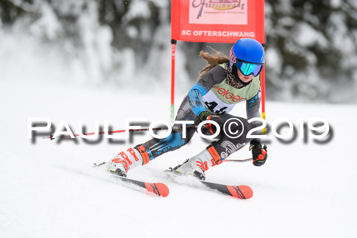 ASV - Geiger Cup 1 RS 2019