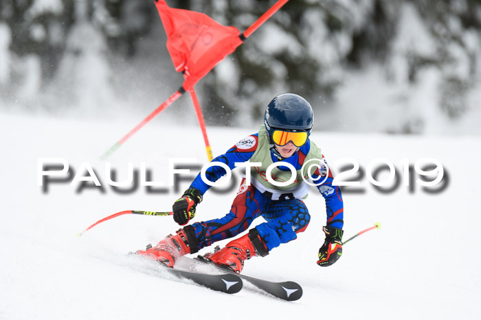 ASV - Geiger Cup 1 RS 2019