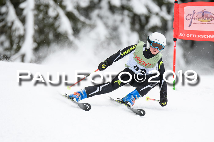 ASV - Geiger Cup 1 RS 2019
