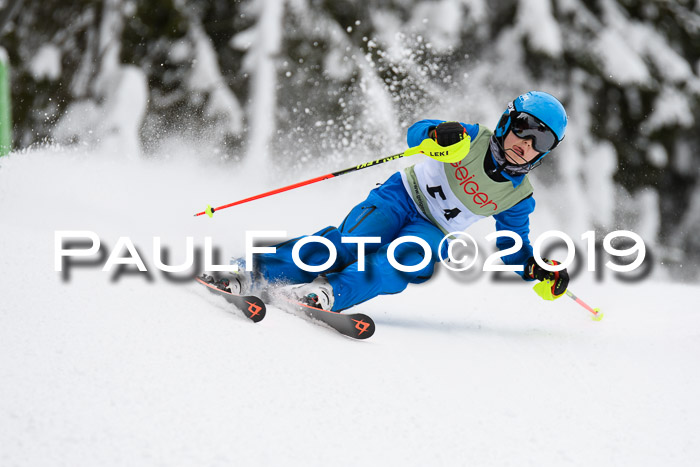 ASV - Geiger Cup 1 RS 2019
