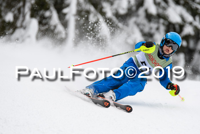 ASV - Geiger Cup 1 RS 2019
