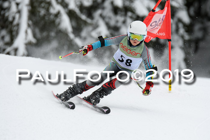 ASV - Geiger Cup 1 RS 2019