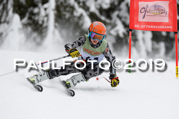 ASV - Geiger Cup 1 RS 2019