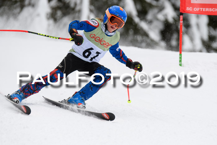 ASV - Geiger Cup 1 RS 2019