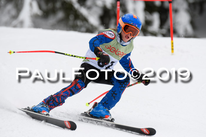 ASV - Geiger Cup 1 RS 2019