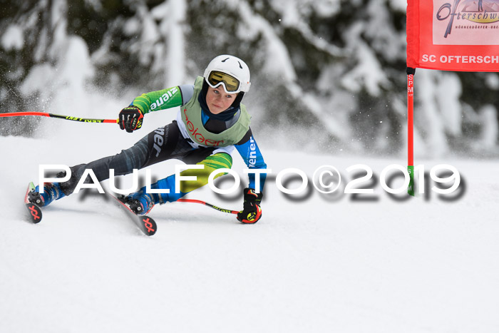 ASV - Geiger Cup 1 RS 2019