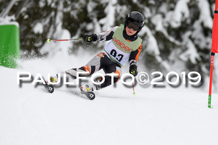 ASV - Geiger Cup 1 RS 2019