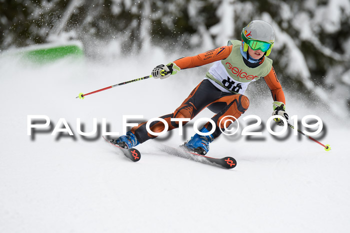 ASV - Geiger Cup 1 RS 2019