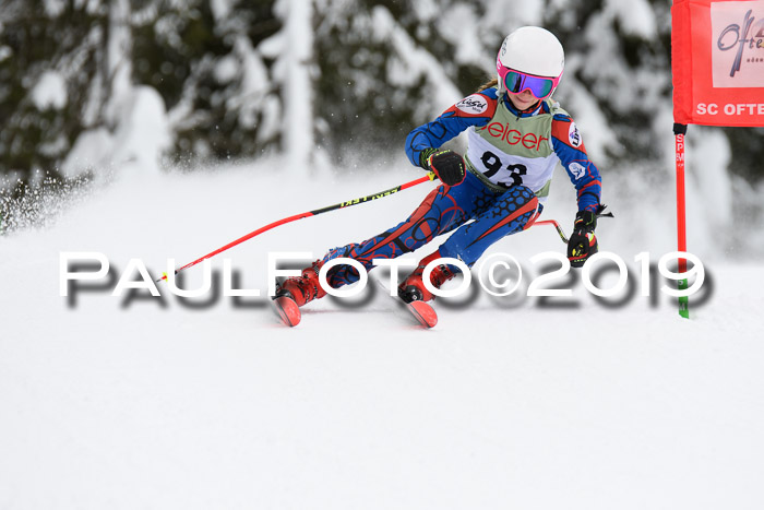 ASV - Geiger Cup 1 RS 2019