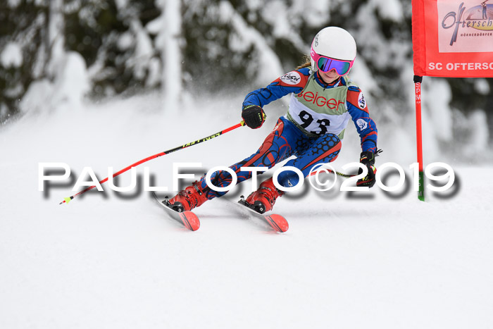 ASV - Geiger Cup 1 RS 2019