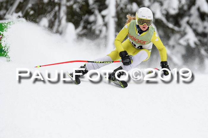 ASV - Geiger Cup 1 RS 2019