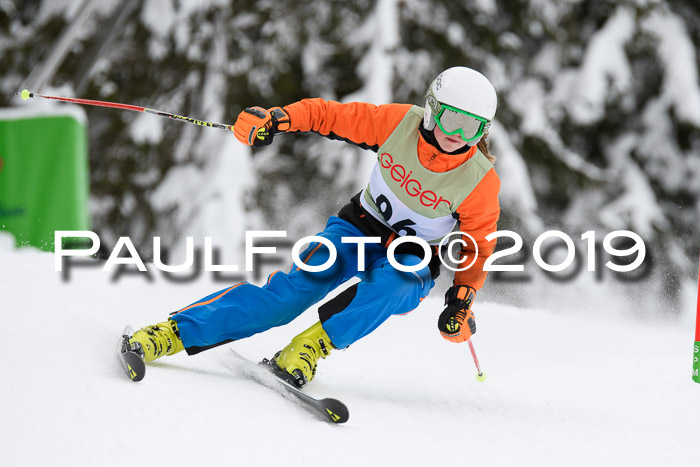 ASV - Geiger Cup 1 RS 2019