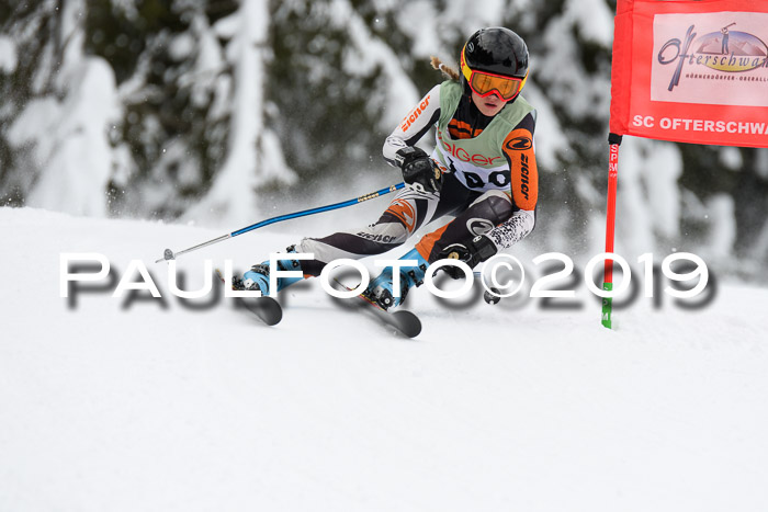 ASV - Geiger Cup 1 RS 2019
