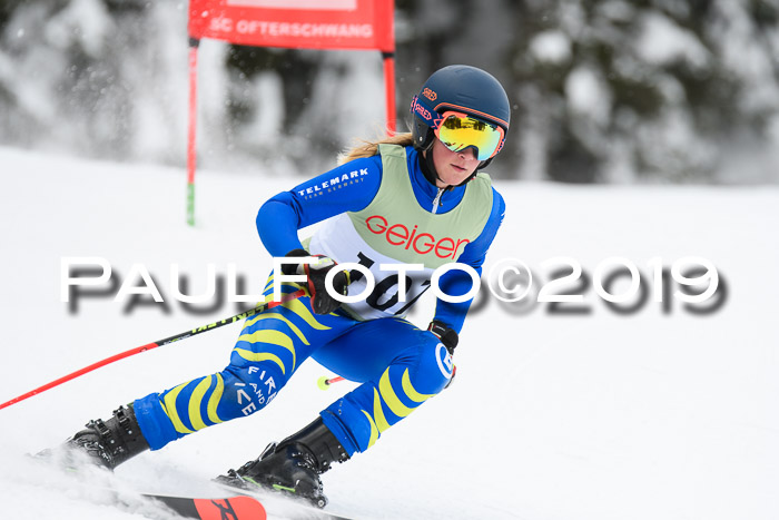 ASV - Geiger Cup 1 RS 2019
