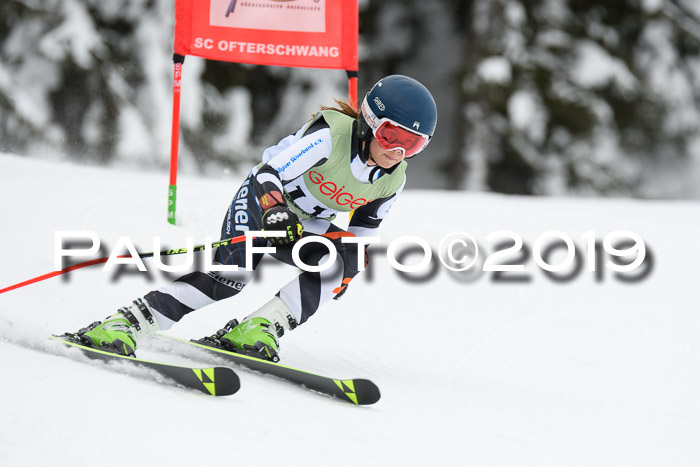 ASV - Geiger Cup 1 RS 2019