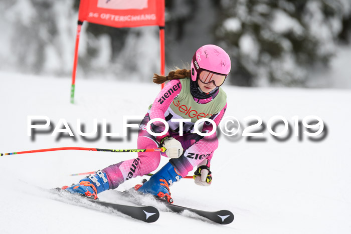 ASV - Geiger Cup 1 RS 2019