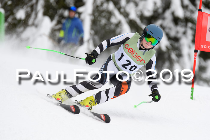 ASV - Geiger Cup 1 RS 2019