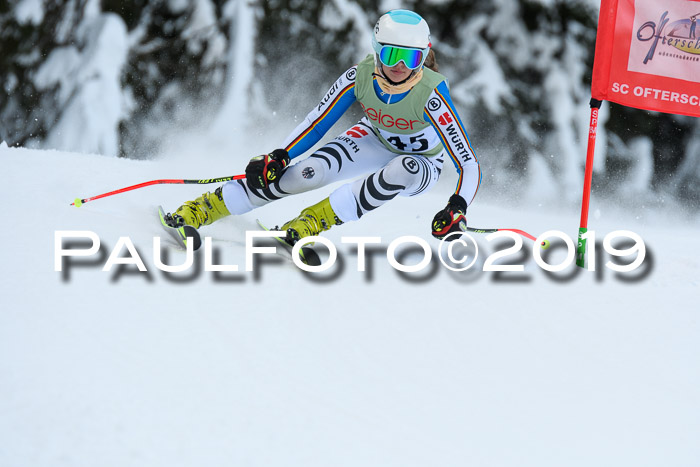 ASV - Geiger Cup 1 RS 2019