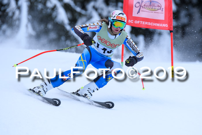 ASV - Geiger Cup 1 RS 2019