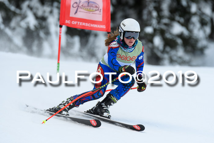 ASV - Geiger Cup 1 RS 2019