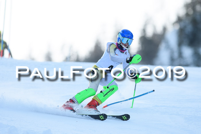 DSV Dt. Schülercup U14 SL 20.01.2019 Slalom