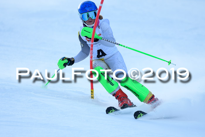 DSV Dt. Schülercup U14 SL 20.01.2019 Slalom