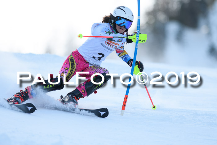 DSV Dt. Schülercup U14 SL 20.01.2019 Slalom