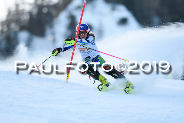 DSV Dt. Schülercup U14 SL 20.01.2019 Slalom