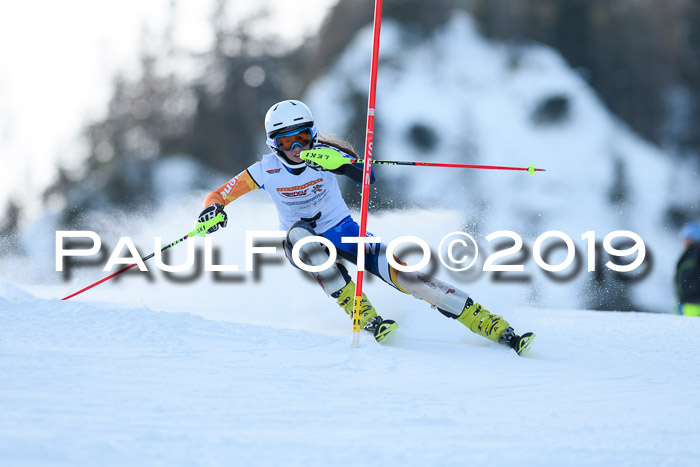 DSV Dt. Schülercup U14 SL 20.01.2019 Slalom