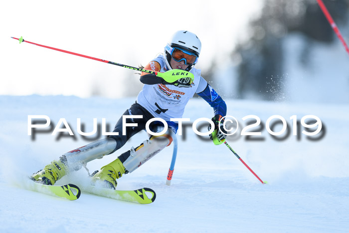 DSV Dt. Schülercup U14 SL 20.01.2019 Slalom