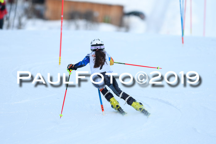 DSV Dt. Schülercup U14 SL 20.01.2019 Slalom