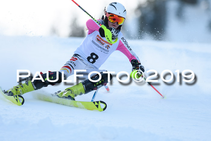 DSV Dt. Schülercup U14 SL 20.01.2019 Slalom
