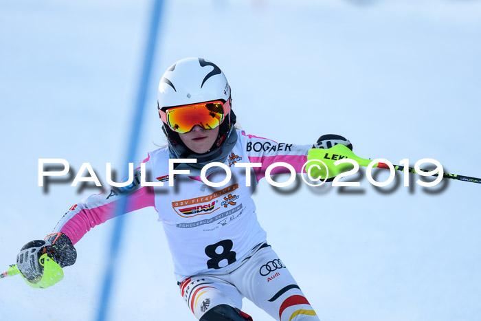 DSV Dt. Schülercup U14 SL 20.01.2019 Slalom